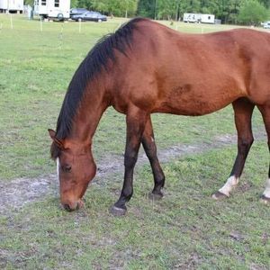 Meet your Posher, Sharon